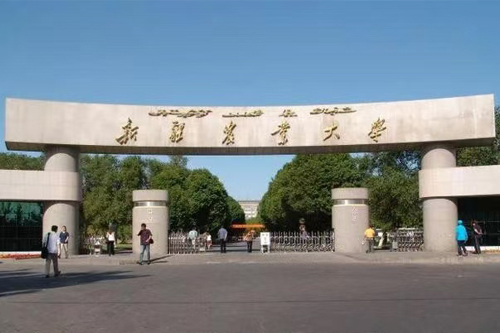 新疆农业大学SQA3+1